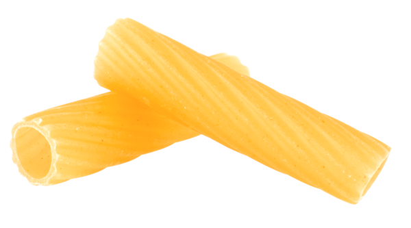 SX_RIGKATONI