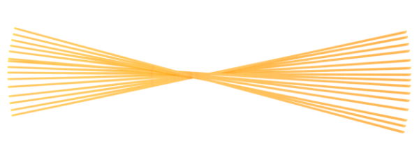 Product Page 600x219 SPAGHETTI